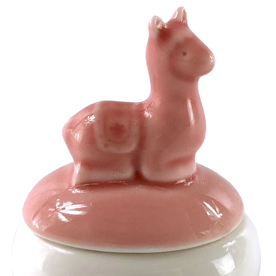 Fotografia para o produto Adorno caixa em porcelana L6xP5xA8cm cor rosa e branca