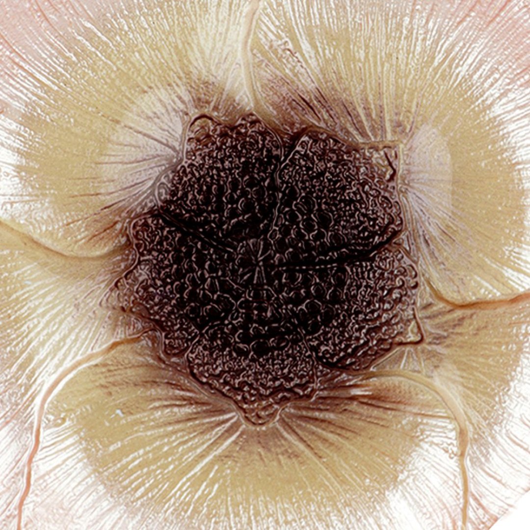 Fotografia para o produto Centro de mesa em vidro Ø19xA2,5cm cor rosa e marrom