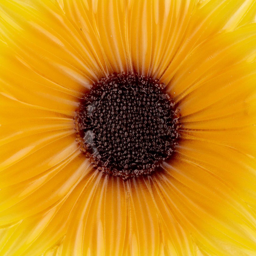 Fotografia para o produto Centro de mesa em vidro Ø21xA4,5cm cor amarelo e marrom