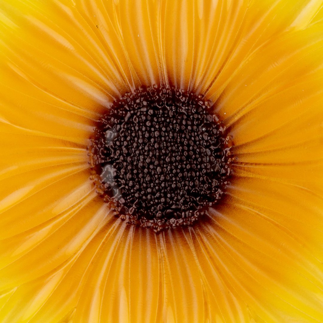 Fotografia para o produto Centro de mesa em vidro Ø22xA2,5cm cor amarelo e marrom