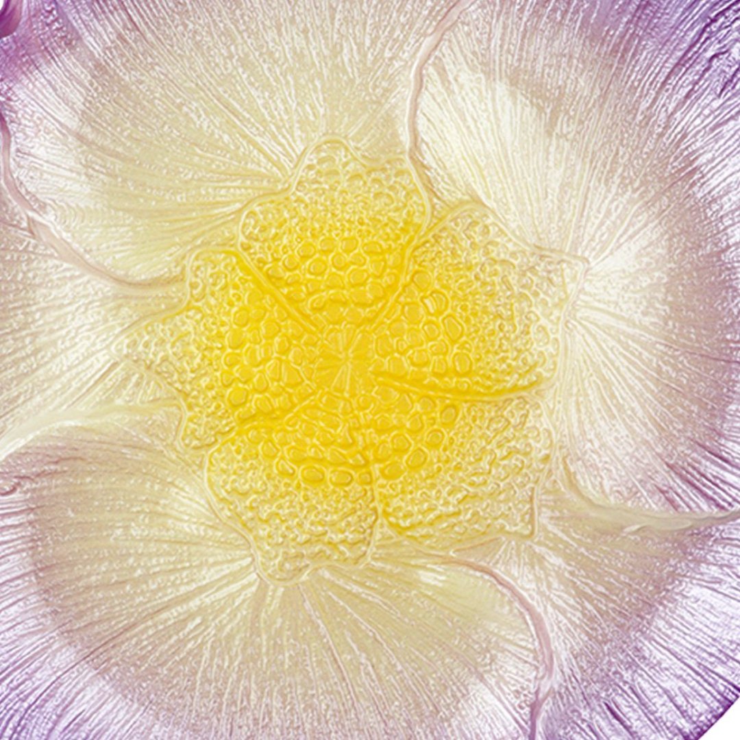 Fotografia para o produto Centro de mesa em vidro Ø24,5xA2,5cm cor lilás e marrom