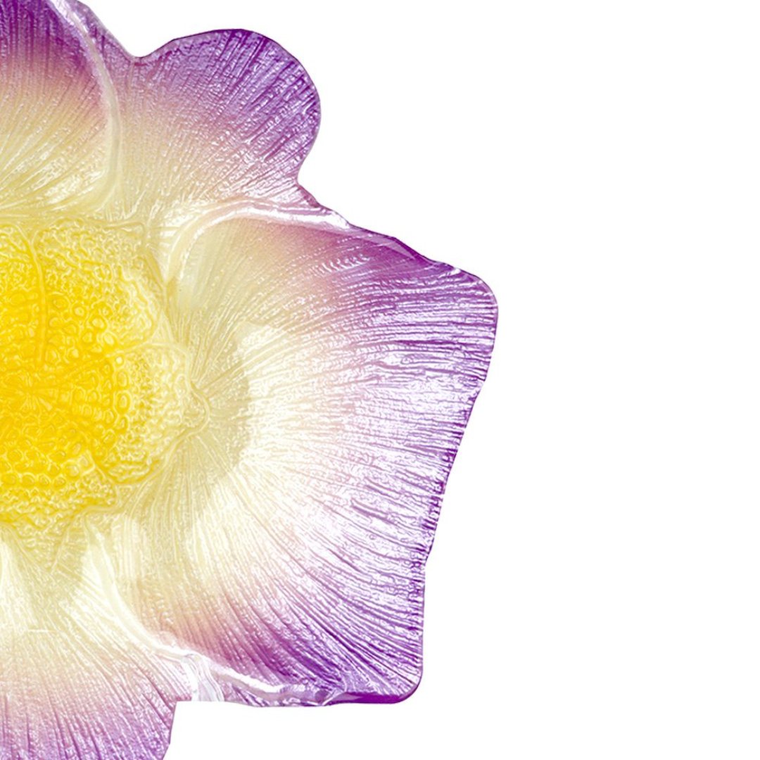 Fotografia para o produto Centro de mesa em vidro Ø26xA7cm cor lilás e marrom