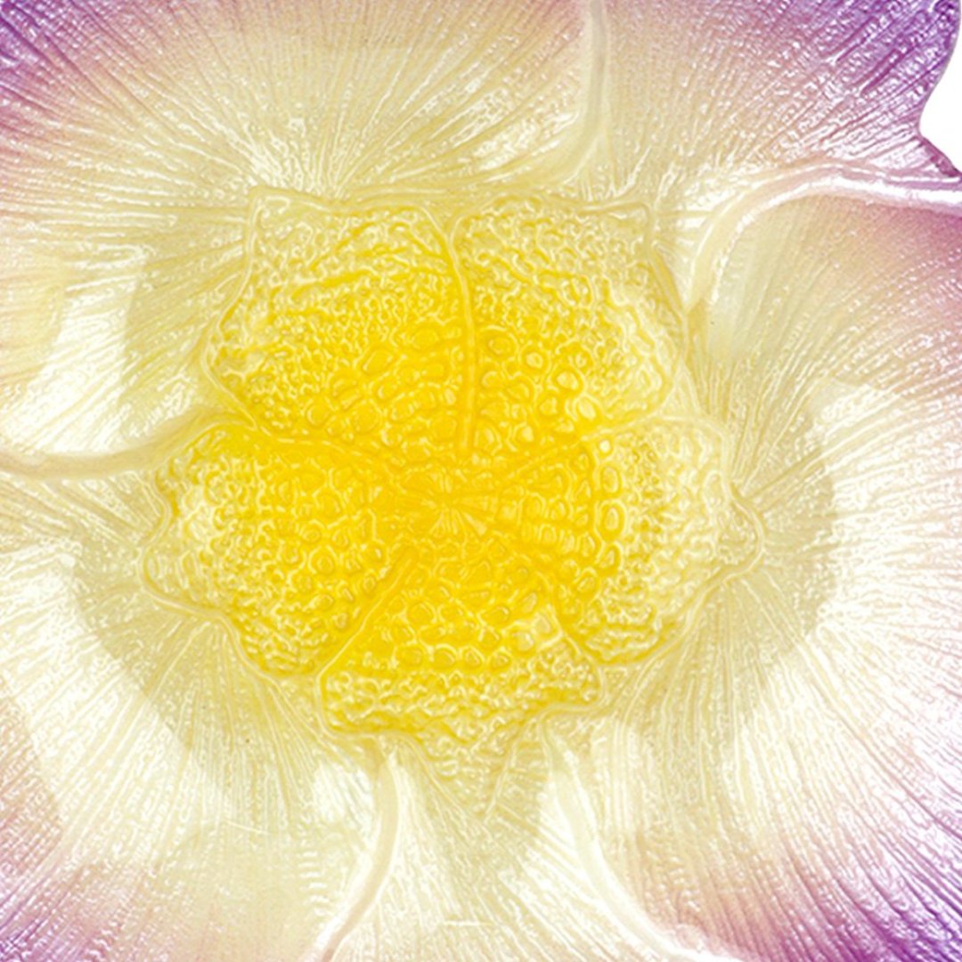 Fotografia para o produto Centro de mesa em vidro Ø26xA7cm cor lilás e marrom