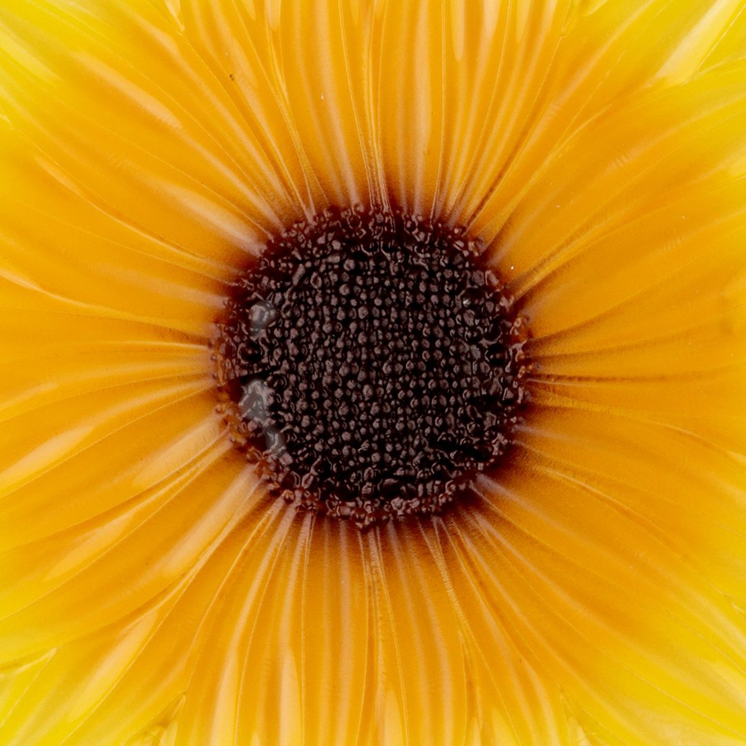 Fotografia para o produto Centro de mesa em vidro Ø30xA6cm cor amarelo e marrom