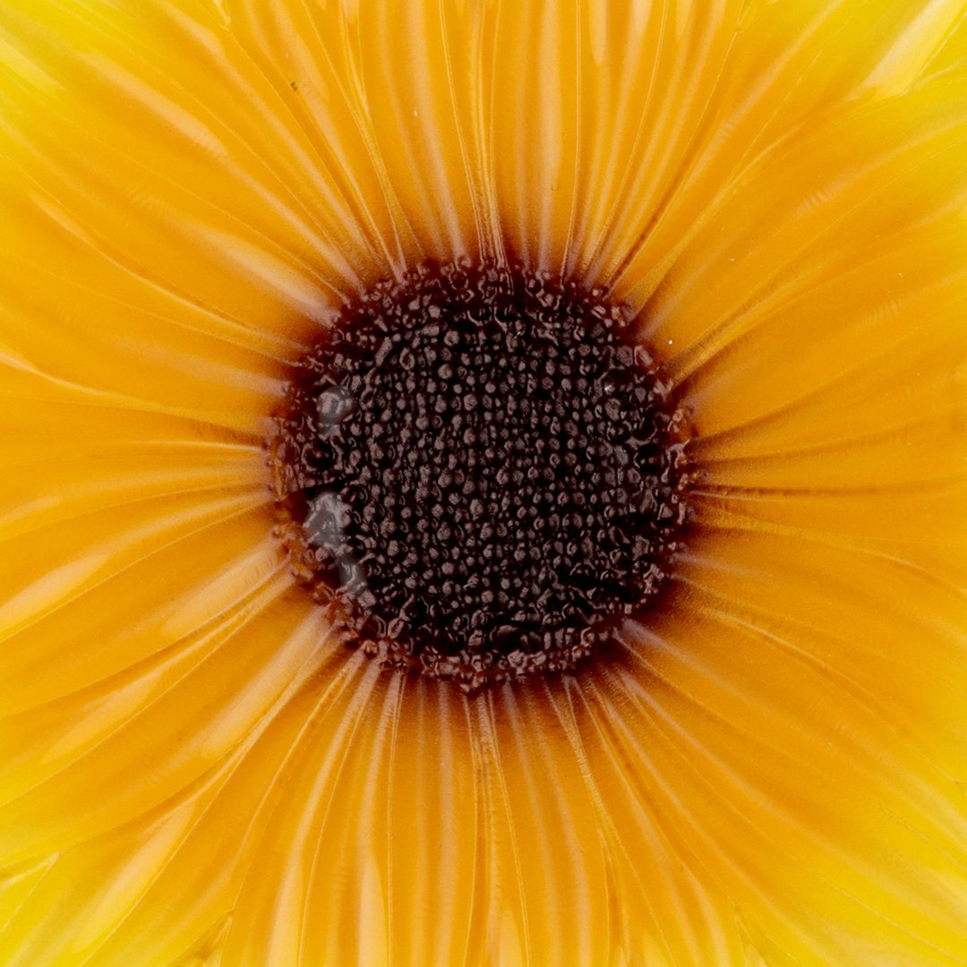 Fotografia para o produto Centro de mesa em vidro Ø32xA3cm cor amarelo e marrom