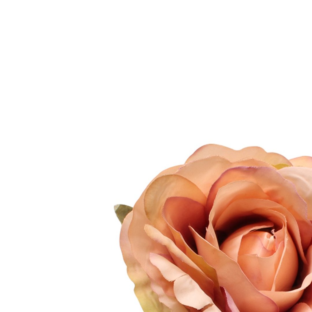 Fotografia para o produto Jogo de 4 anéis Rosa para guardanapo em plástico Ø7xA11cm cor laranja