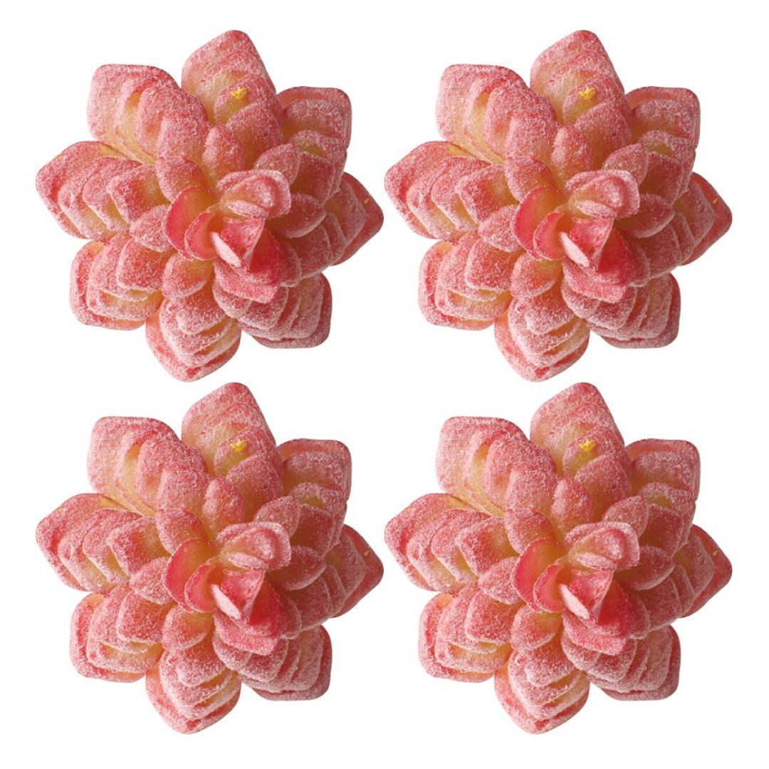 Imagem ilustrativa para Jogo de 4 anéis Suculenta para guardanapo em plástico Ø7xA8cm cor vermelha