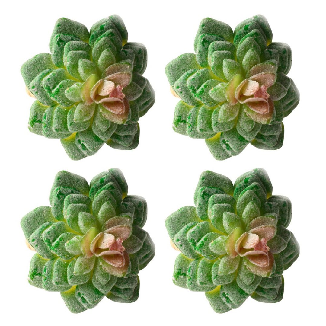 Imagem ilustrativa para Jogo de 4 anéis Suculenta para guardanapo em plástico Ø7xA8cm cor verde