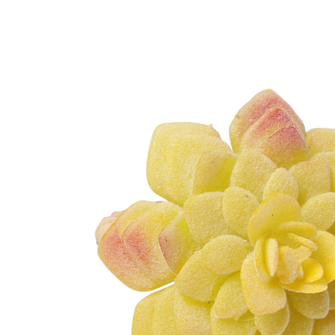 Fotografia para o produto Jogo de 4 anéis Suculenta para guardanapo em plástico Ø7xA8cm cor amarela