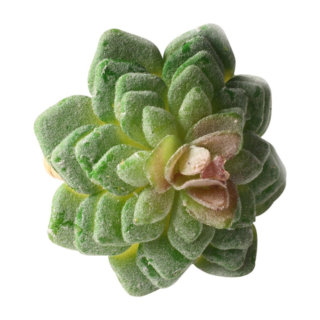 Fotografia para o produto Jogo de 4 anéis suculenta para guardanapo em plástico Ø7xA8cm cor verde