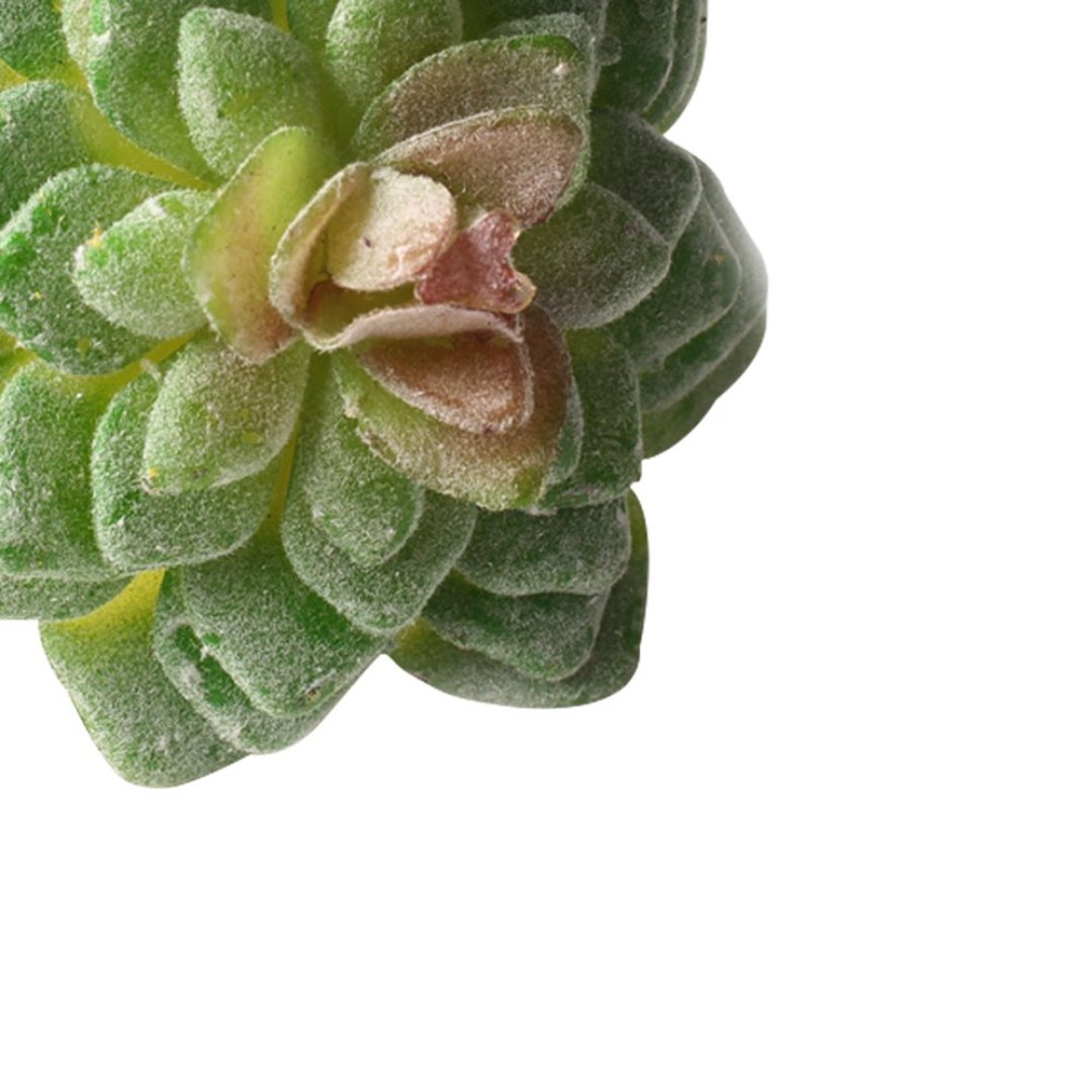 Fotografia para o produto Jogo de 4 anéis suculenta para guardanapo em plástico Ø7xA8cm cor verde