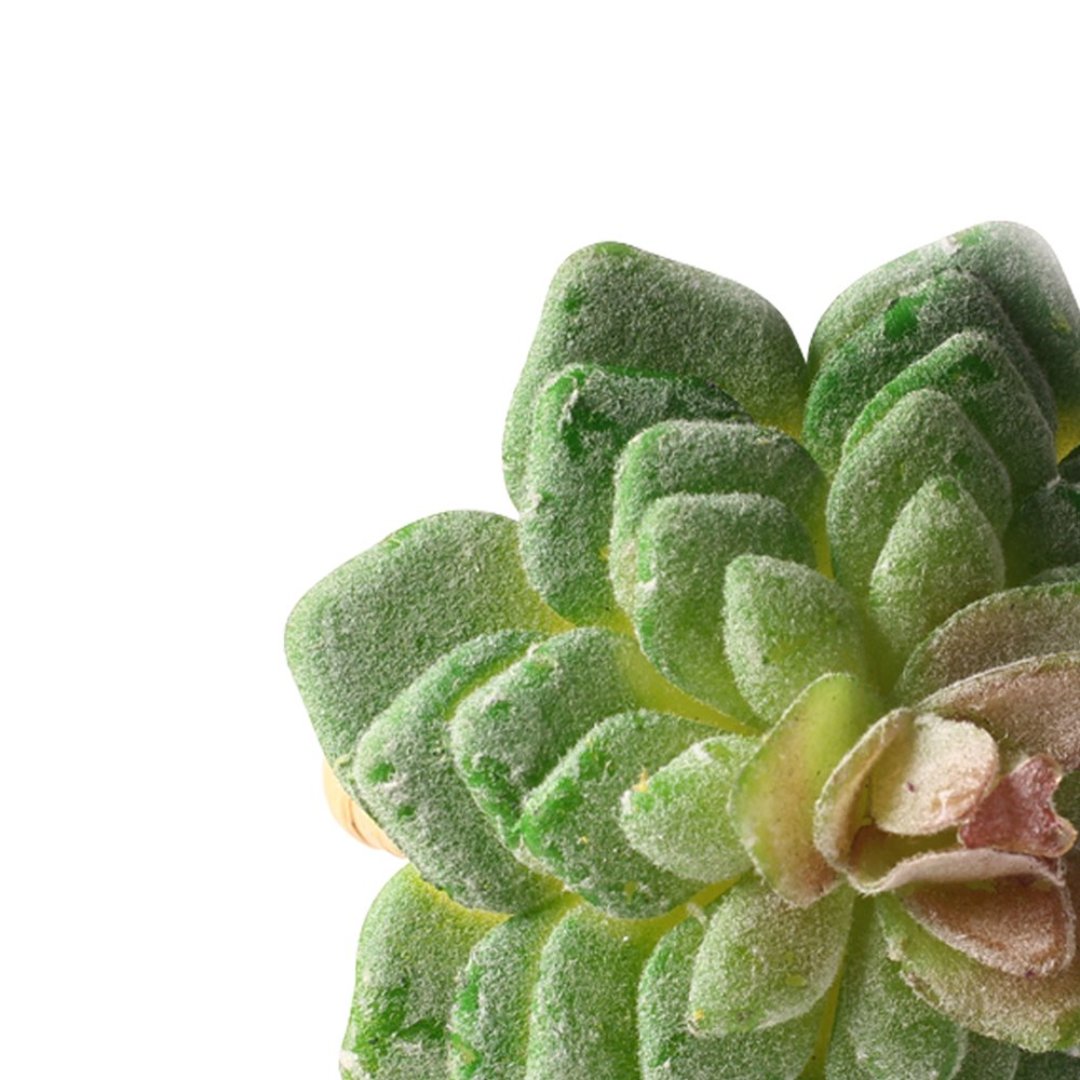 Fotografia para o produto Jogo de 4 anéis suculenta para guardanapo em plástico Ø7xA8cm cor verde