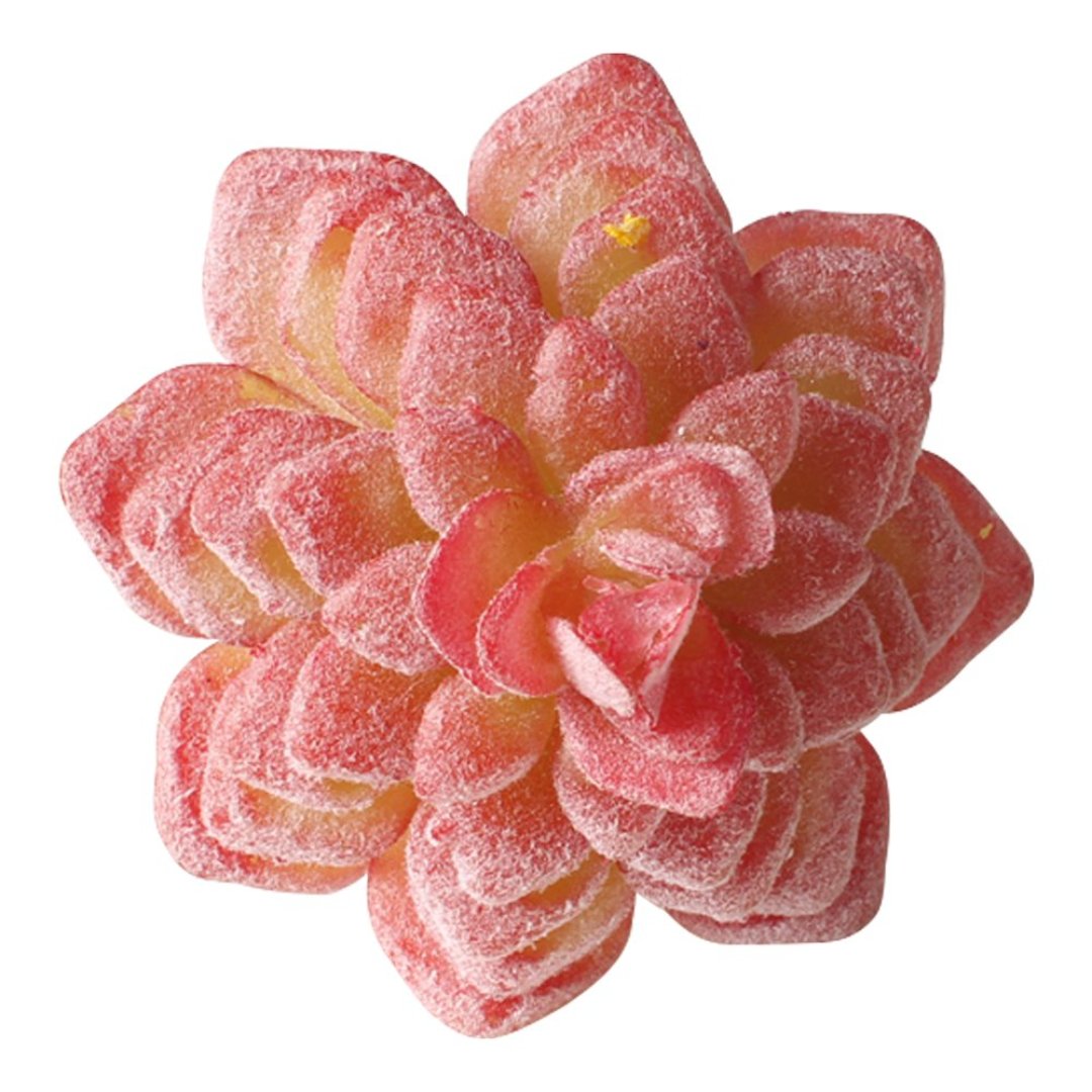 Fotografia para o produto Jogo de 4 aneis Suculenta para guardanapo em plástico Ø7xA8cm cor vermelha