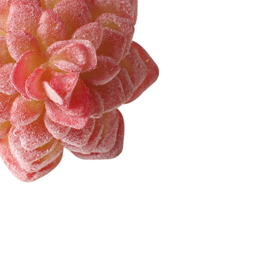 Fotografia para o produto Jogo de 4 aneis Suculenta para guardanapo em plástico Ø7xA8cm cor vermelha