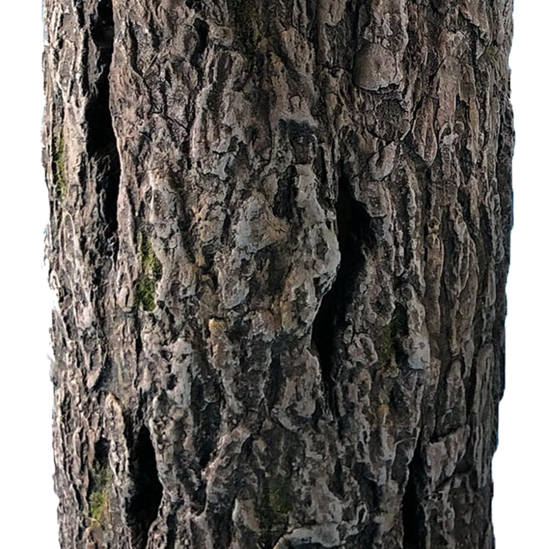 Fotografia para o produto Lanterna em cimento Ø13xA21cm