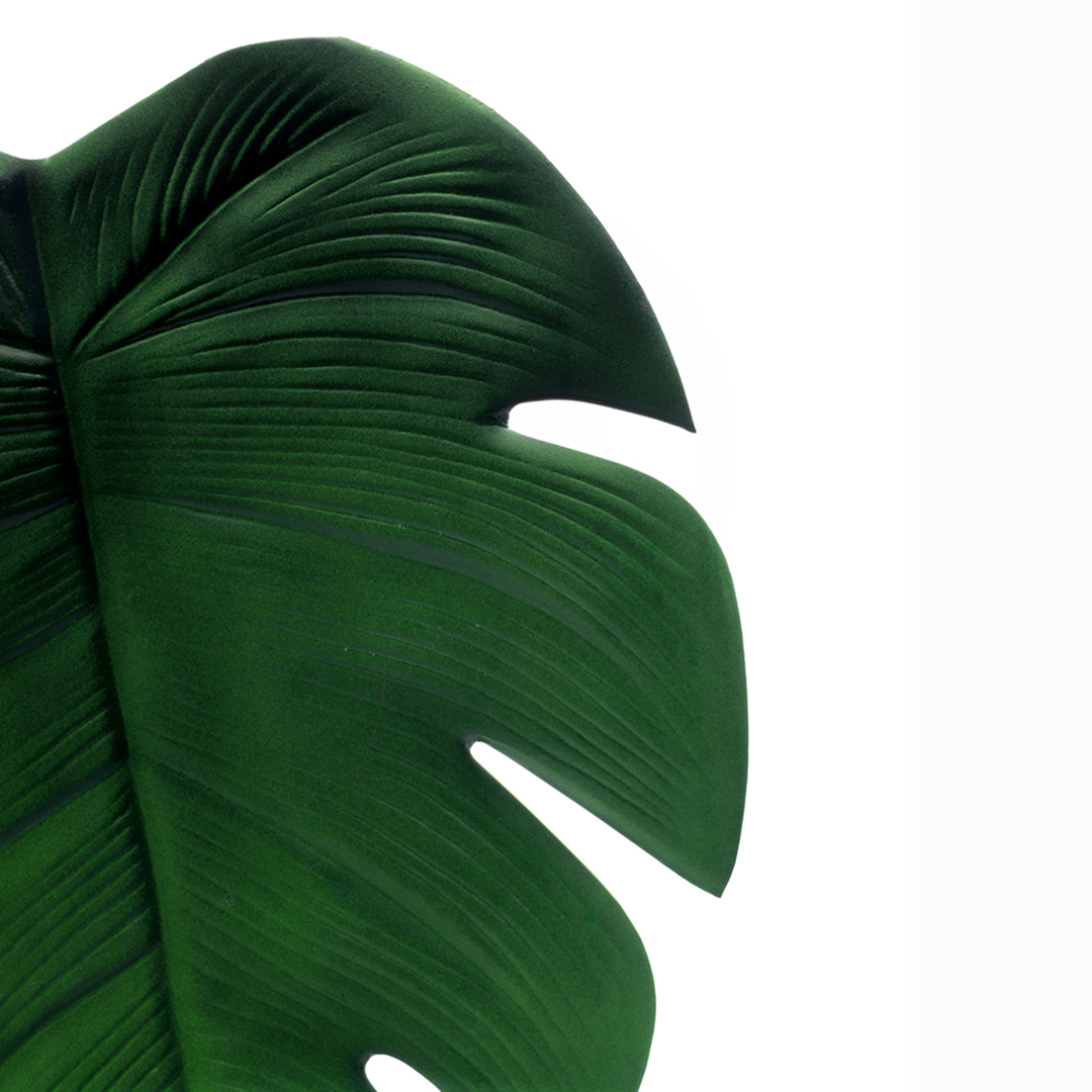 Fotografia para o produto Lugar americano em plástico Folhagem L46xP36cm