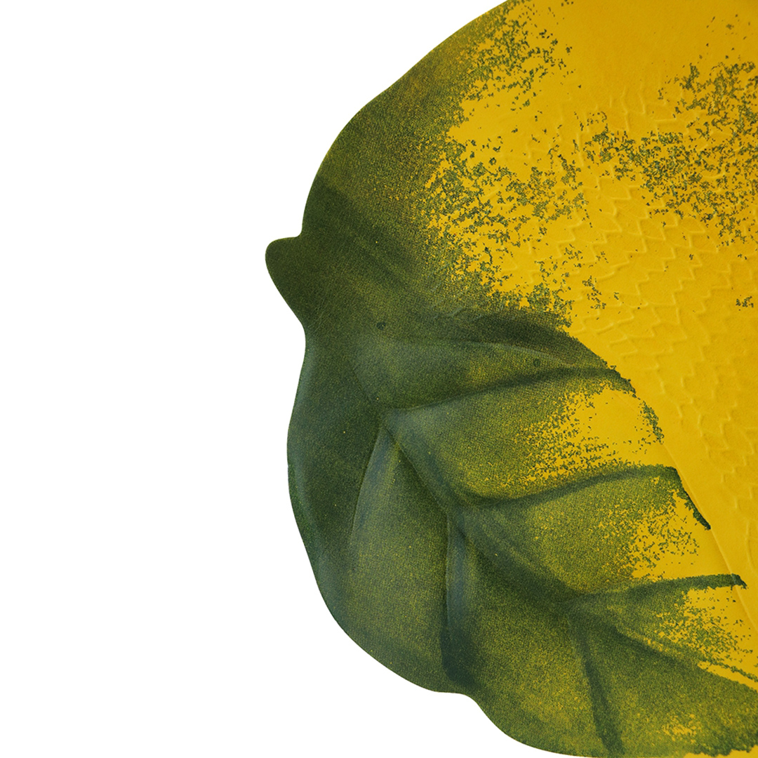 Fotografia para o produto Lugar Americano em plástico Lemon L47xP33cm