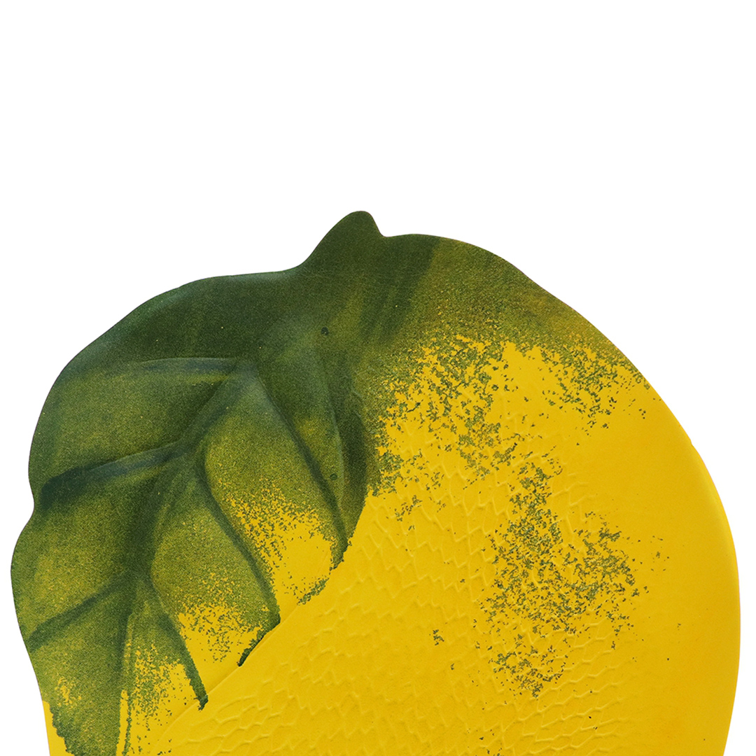 Fotografia para o produto Lugar Americano em plástico Lemon L47xP33cm