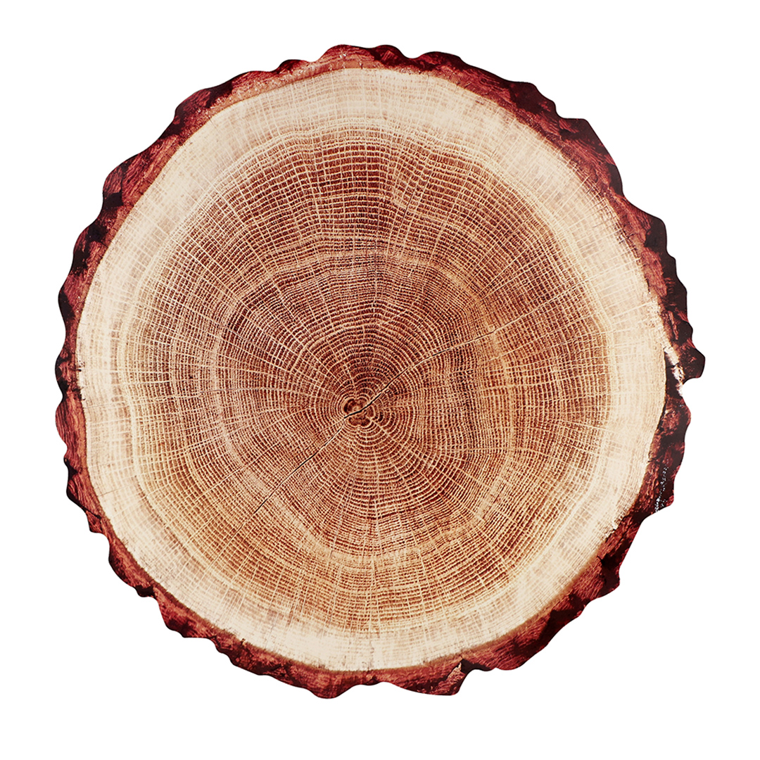 Imagem ilustrativa para Lugar americano Tronco em plástico Ø38cm