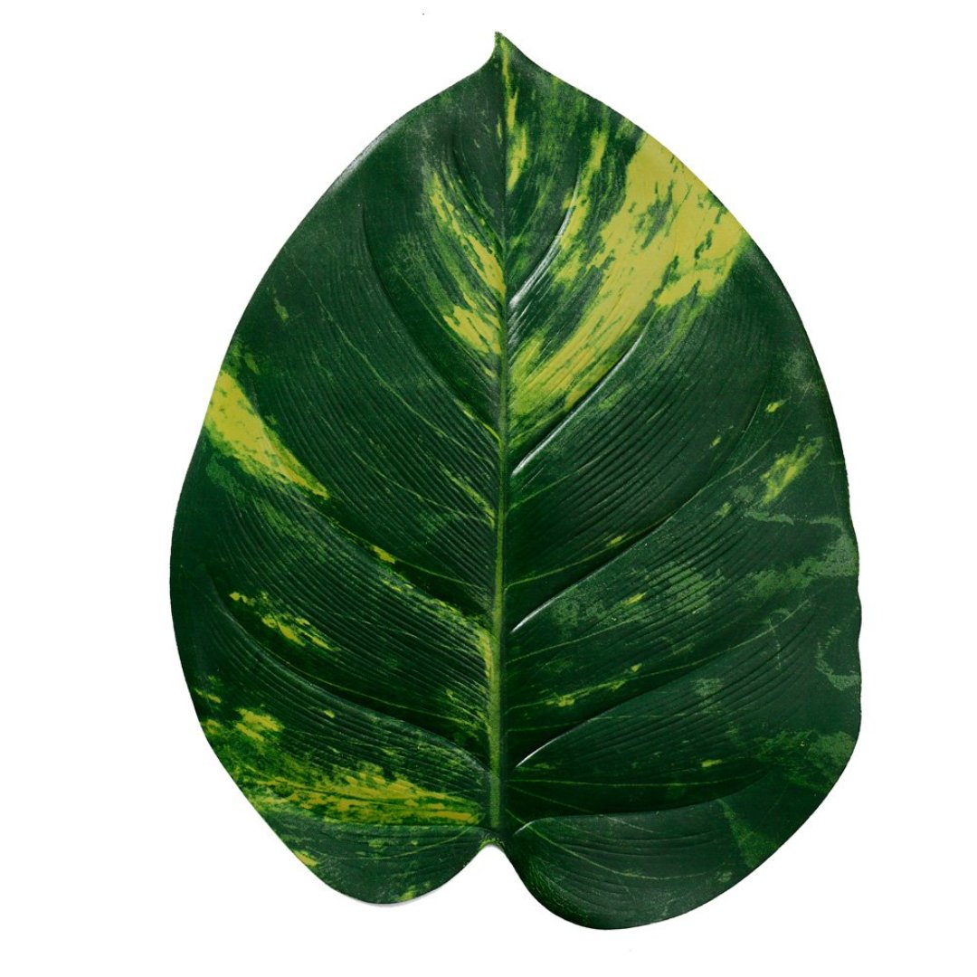 Imagem ilustrativa para Lugar americano Folha em plástico L48xP37cm cor verde