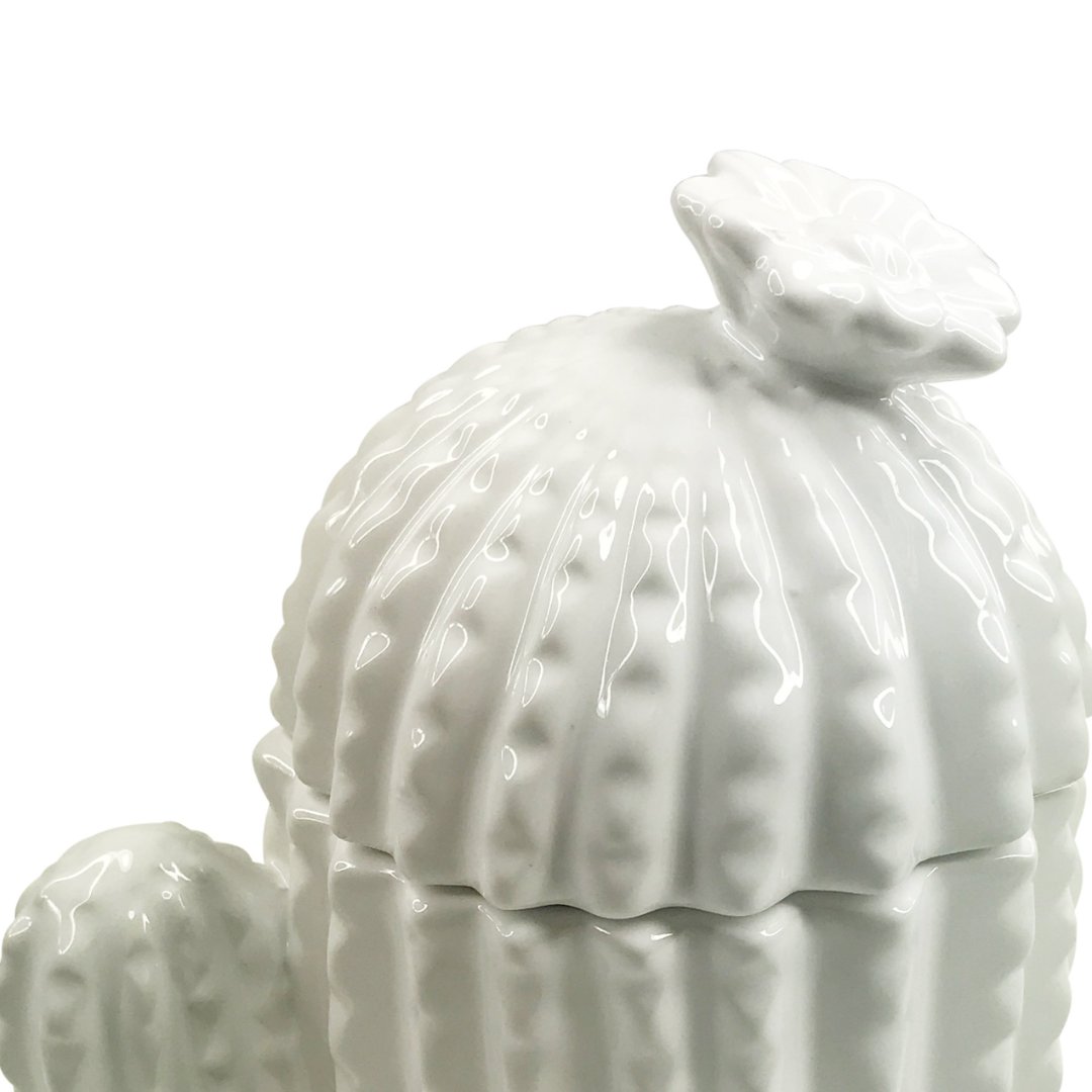 Fotografia para o produto Potiche decorativo em cerâmica cactus L13,5xP10,5xA18,5cm cor branca