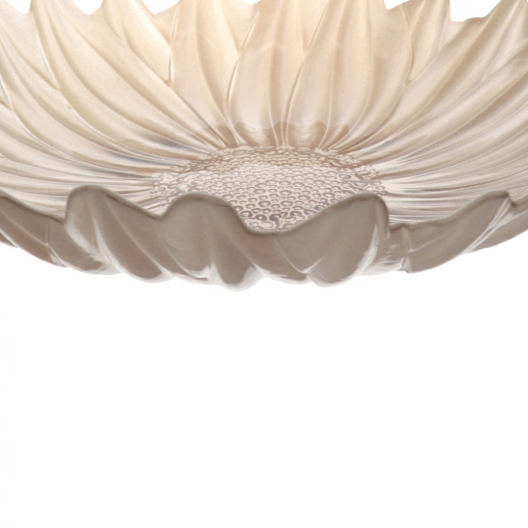 Fotografia para o produto Prato em vidro Ø29xA3cm cor pérola