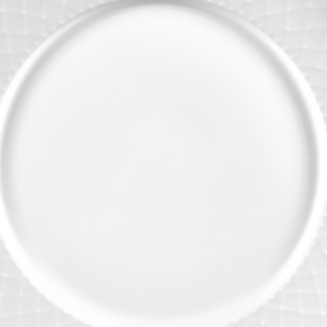 Fotografia para o produto Prato raso em porcelana Ø27,5cm